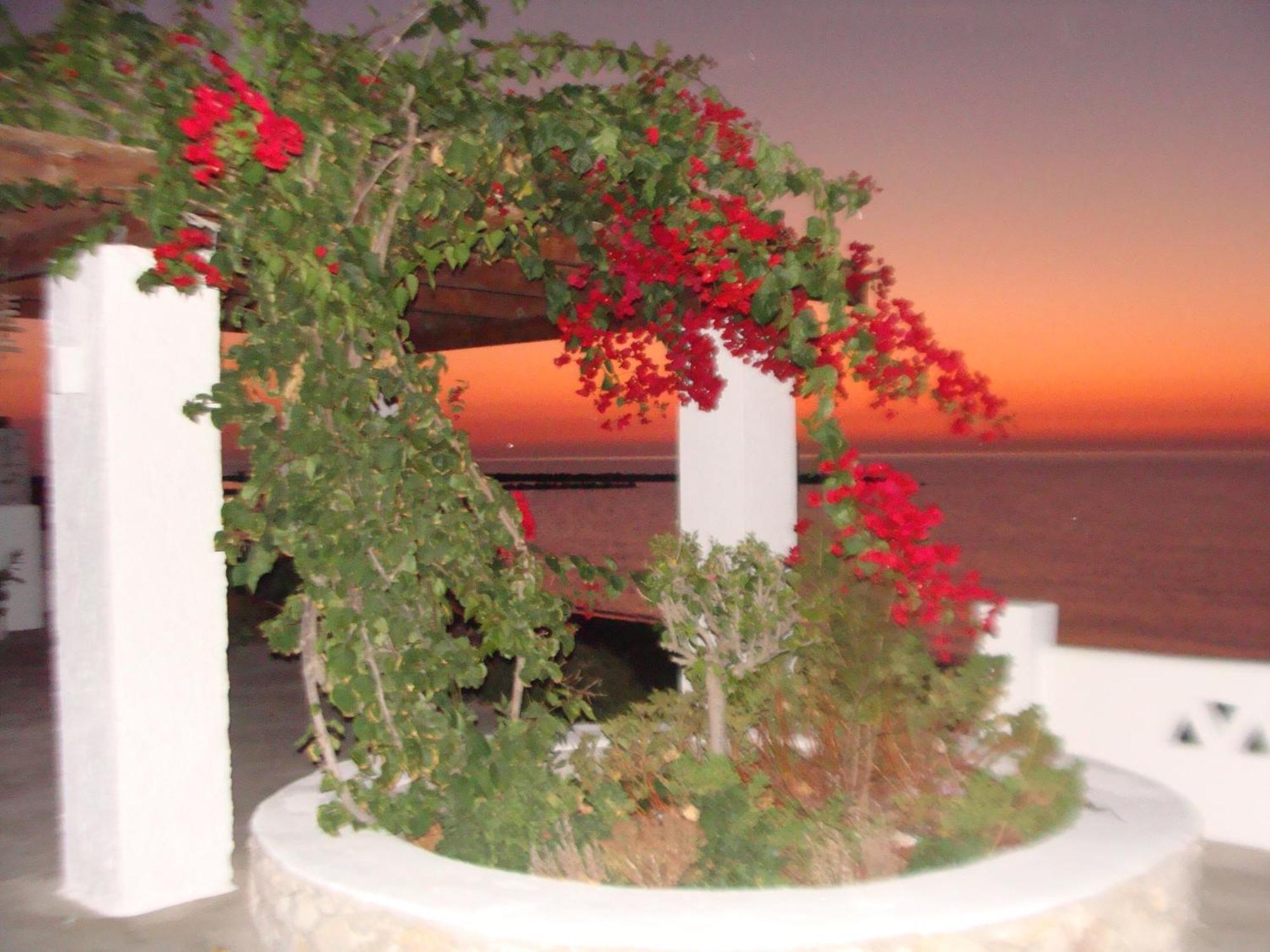 Παραθιν Αλοσ 2 Appartement Skyros Buitenkant foto